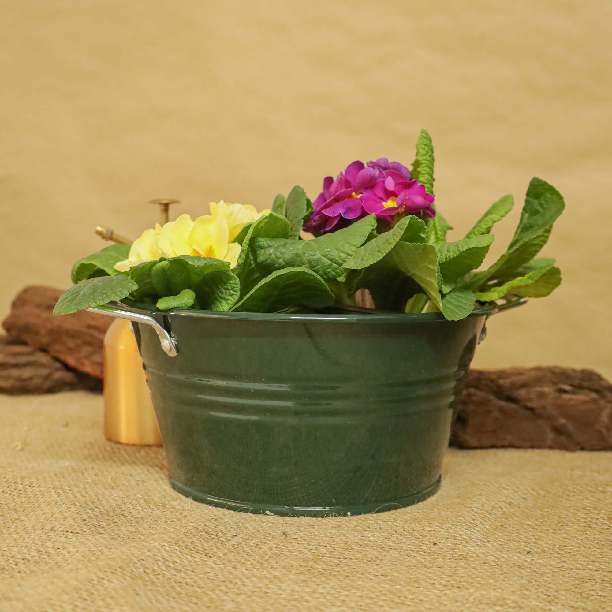 82194187aec8055f0dcb25df79dc89cf