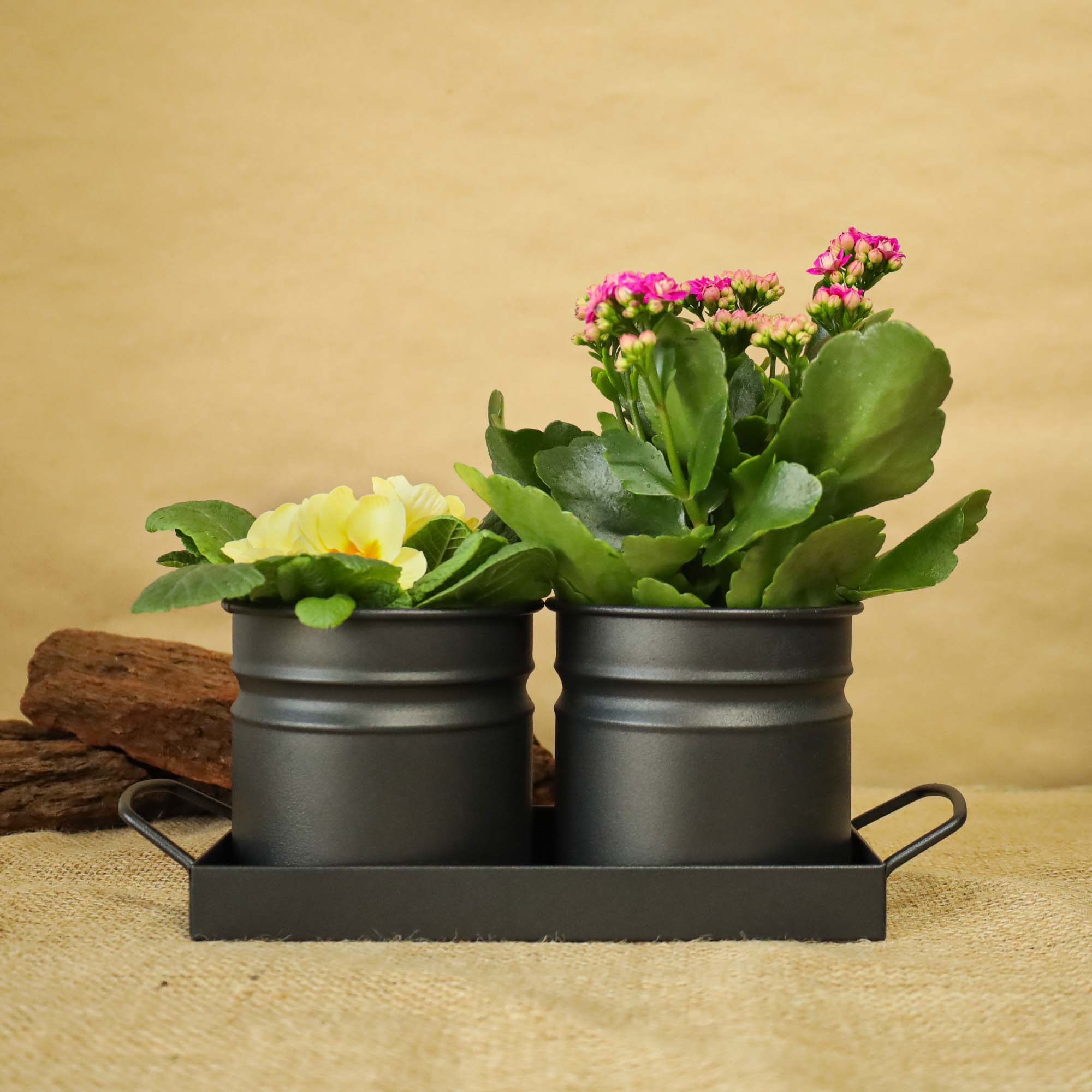 b413146b3185f25a0c6e1e2fc015fc02