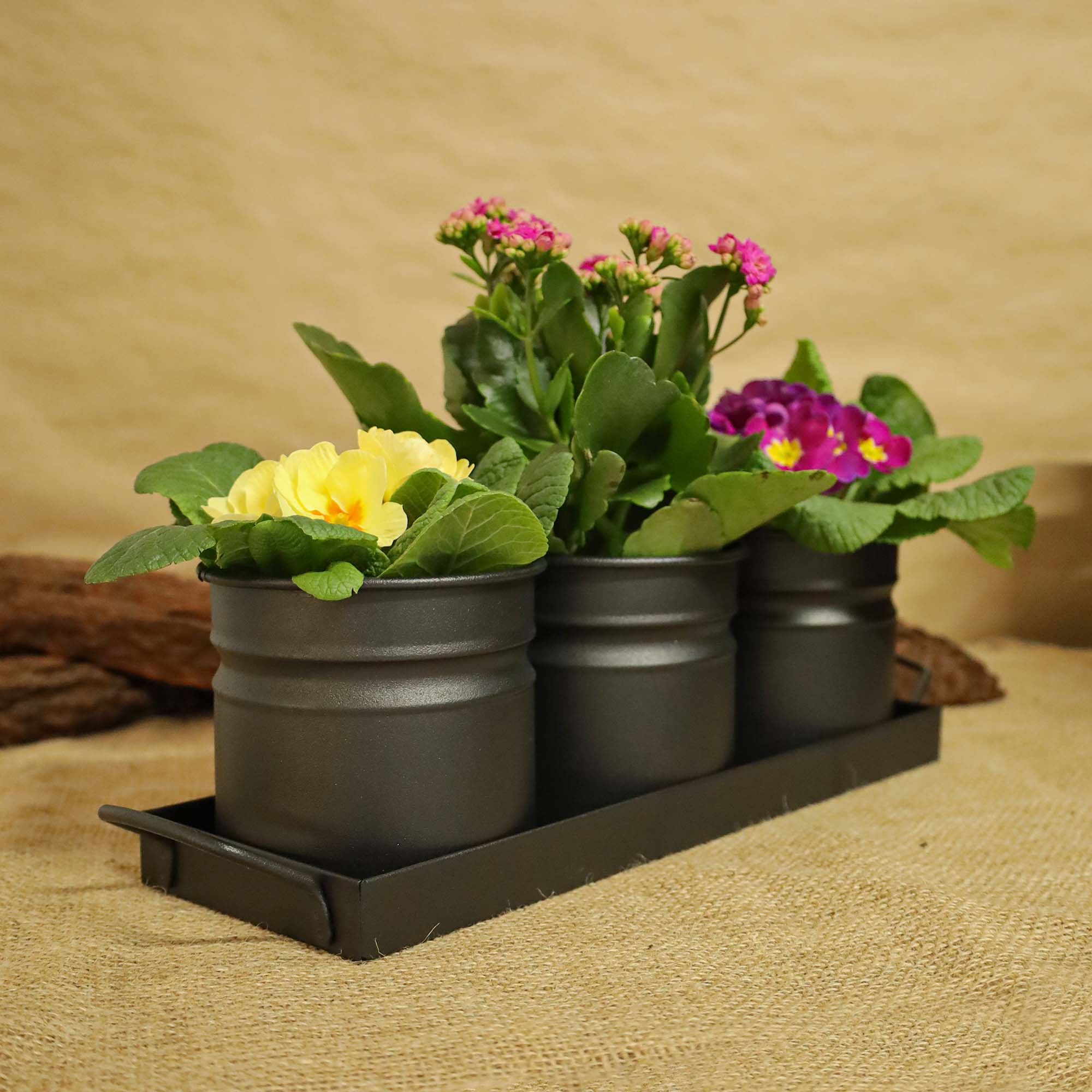 15d8e3b9e8c248c492d6de6899a4f4be