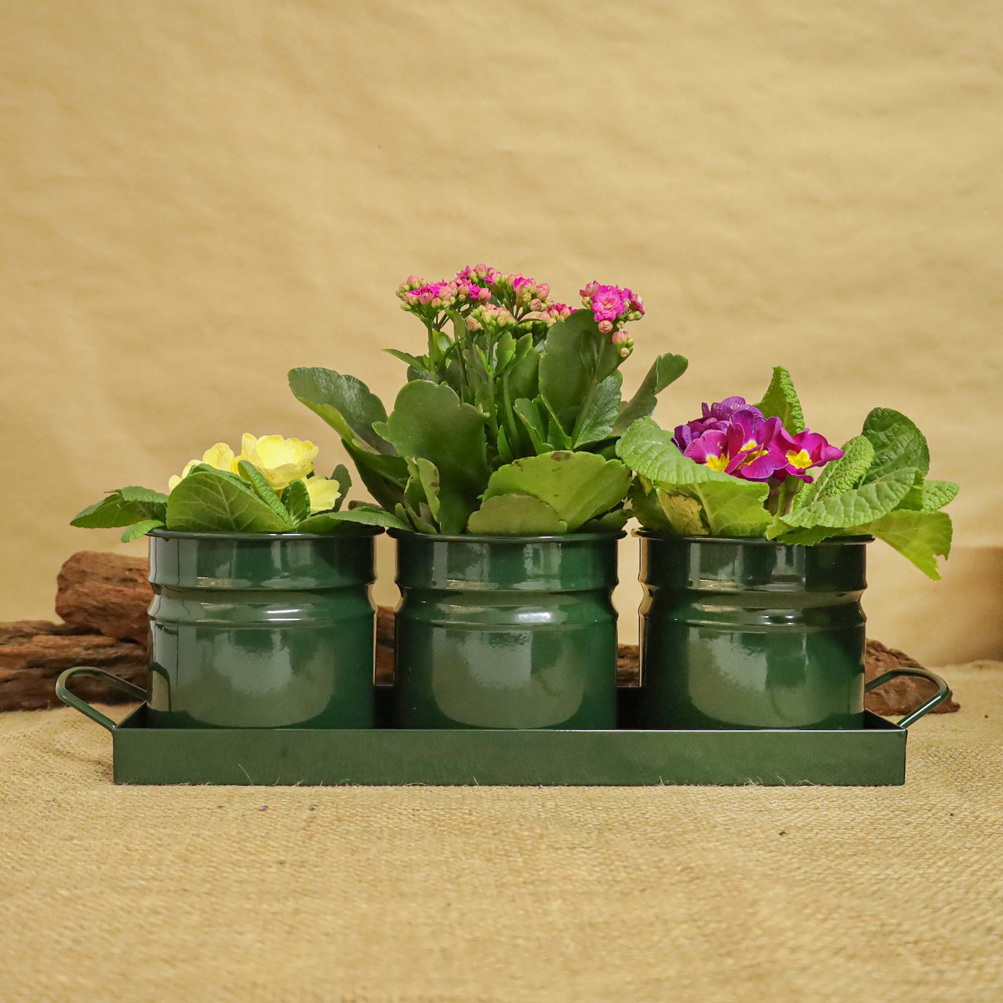 35129d37edf1ebdef91c080f363f0e4c