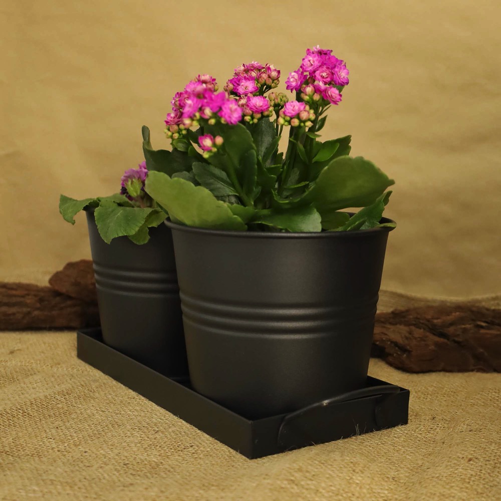 6d824fc8470cdbd01e966430d9f51175