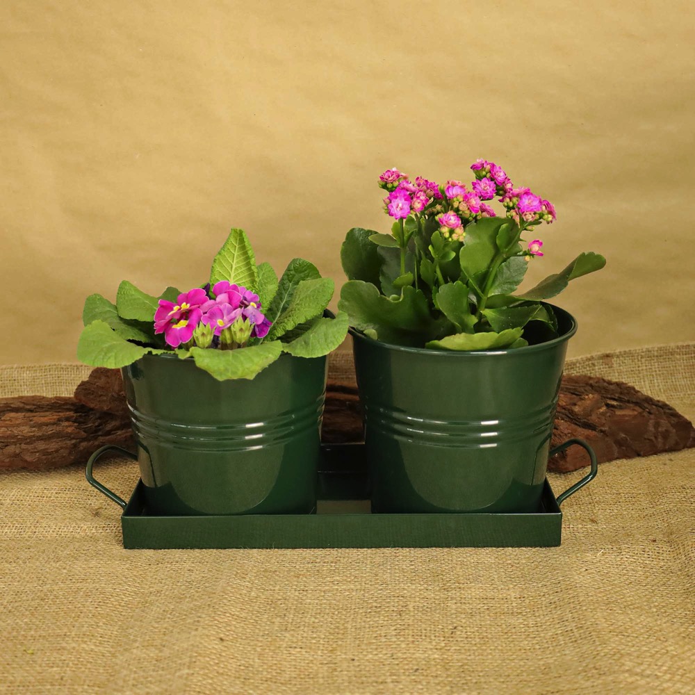 df656fbe910e4975c4330cbfd29f8e9a