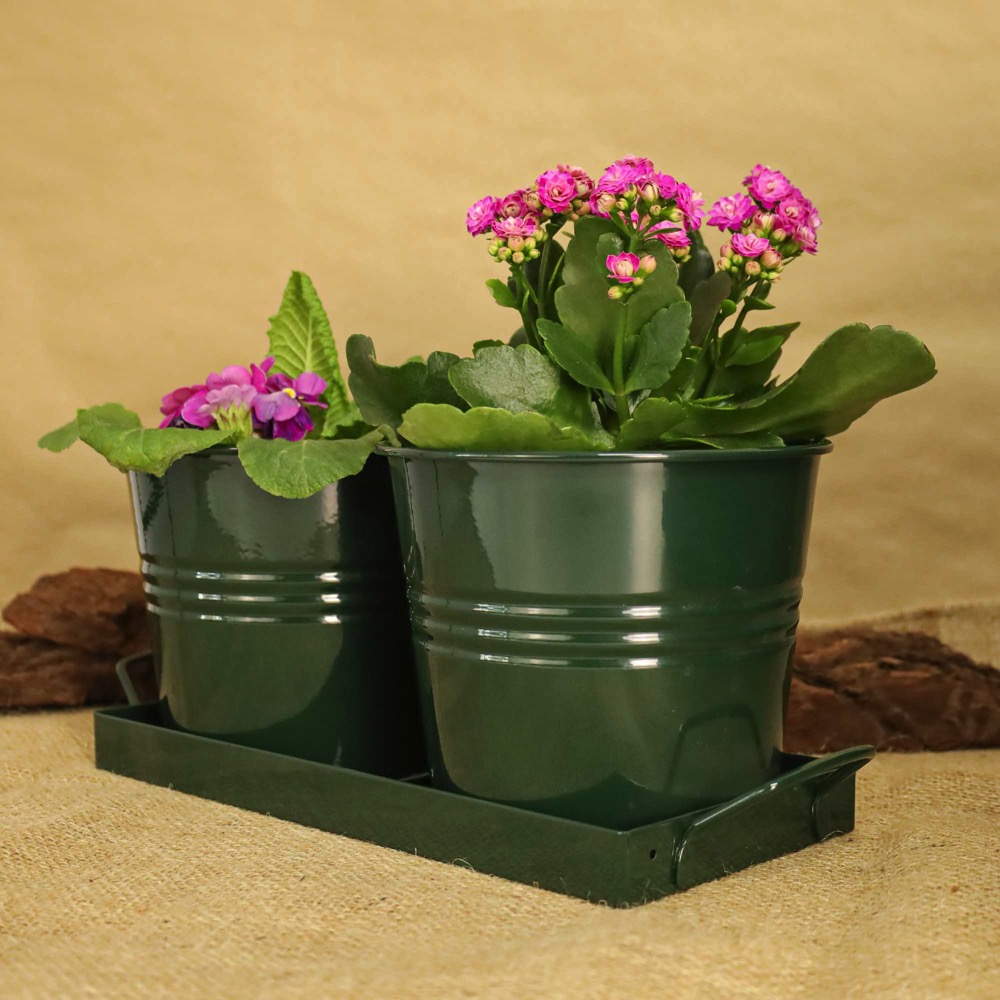 47b26cb815d620d0a32302493d4985fa