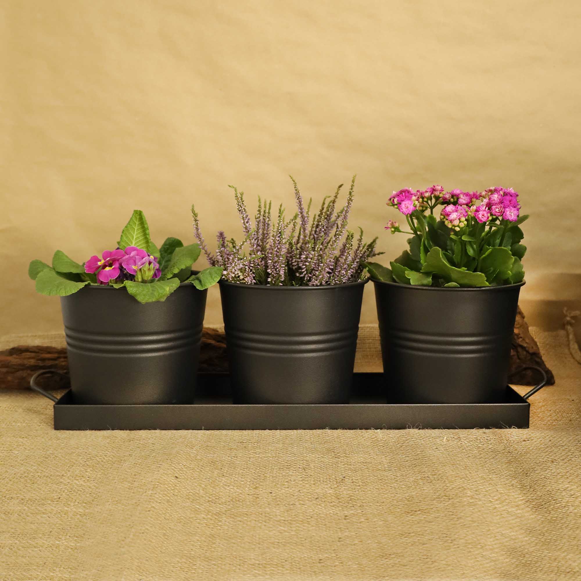 feeddd812235f0d18d6e93f047a782f9