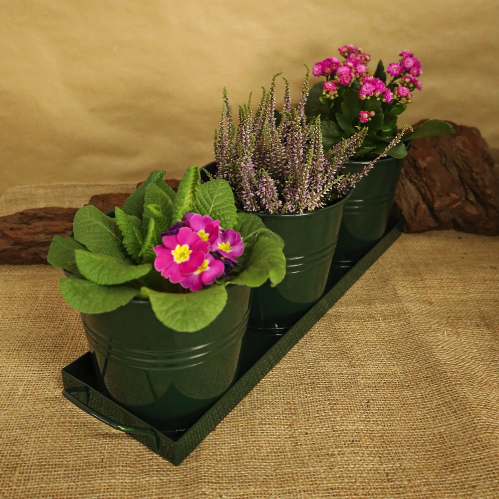 9a0265a01eb0dc8d8ac39fd5c54a072c