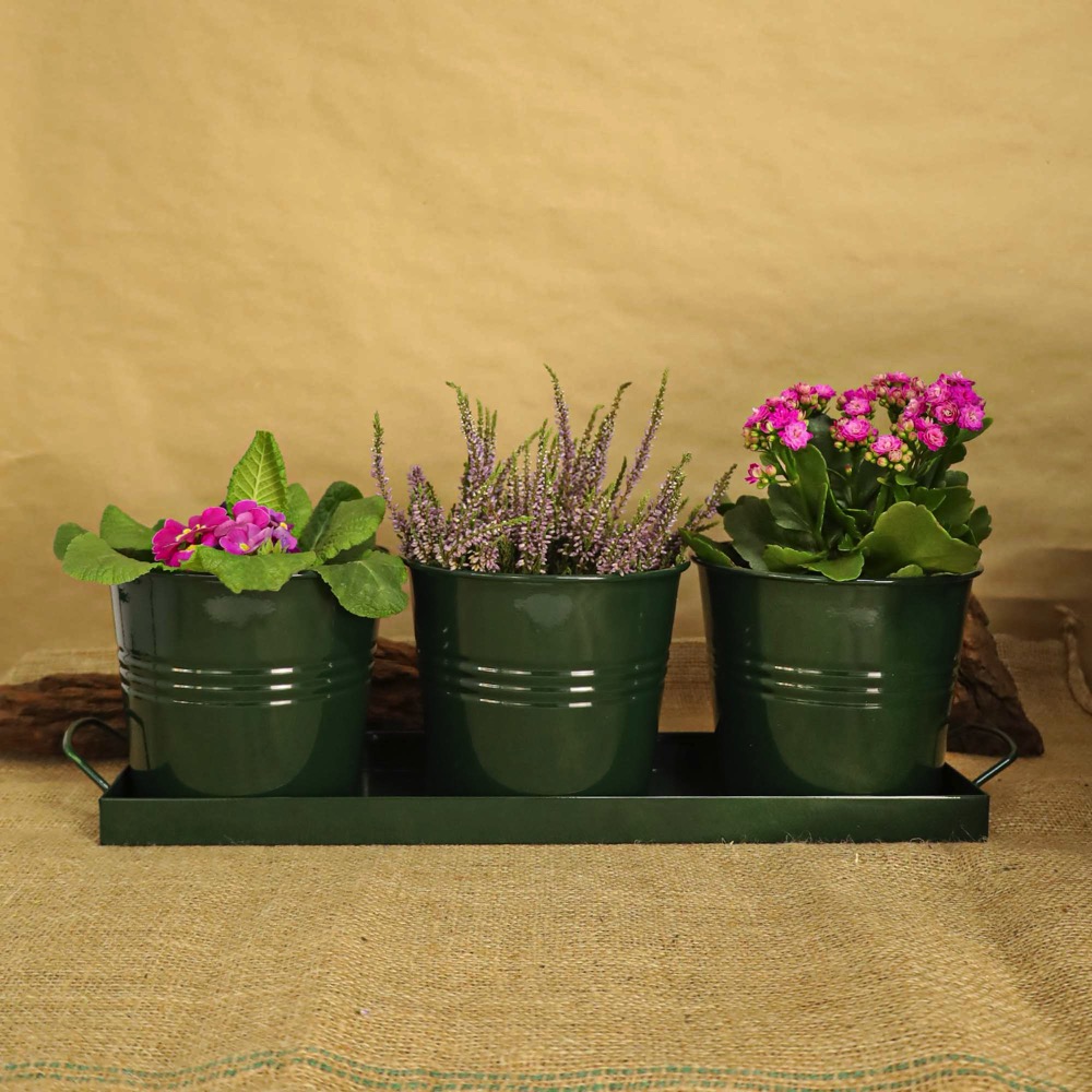 a23a18b759ad3e52858bbba32d25acee