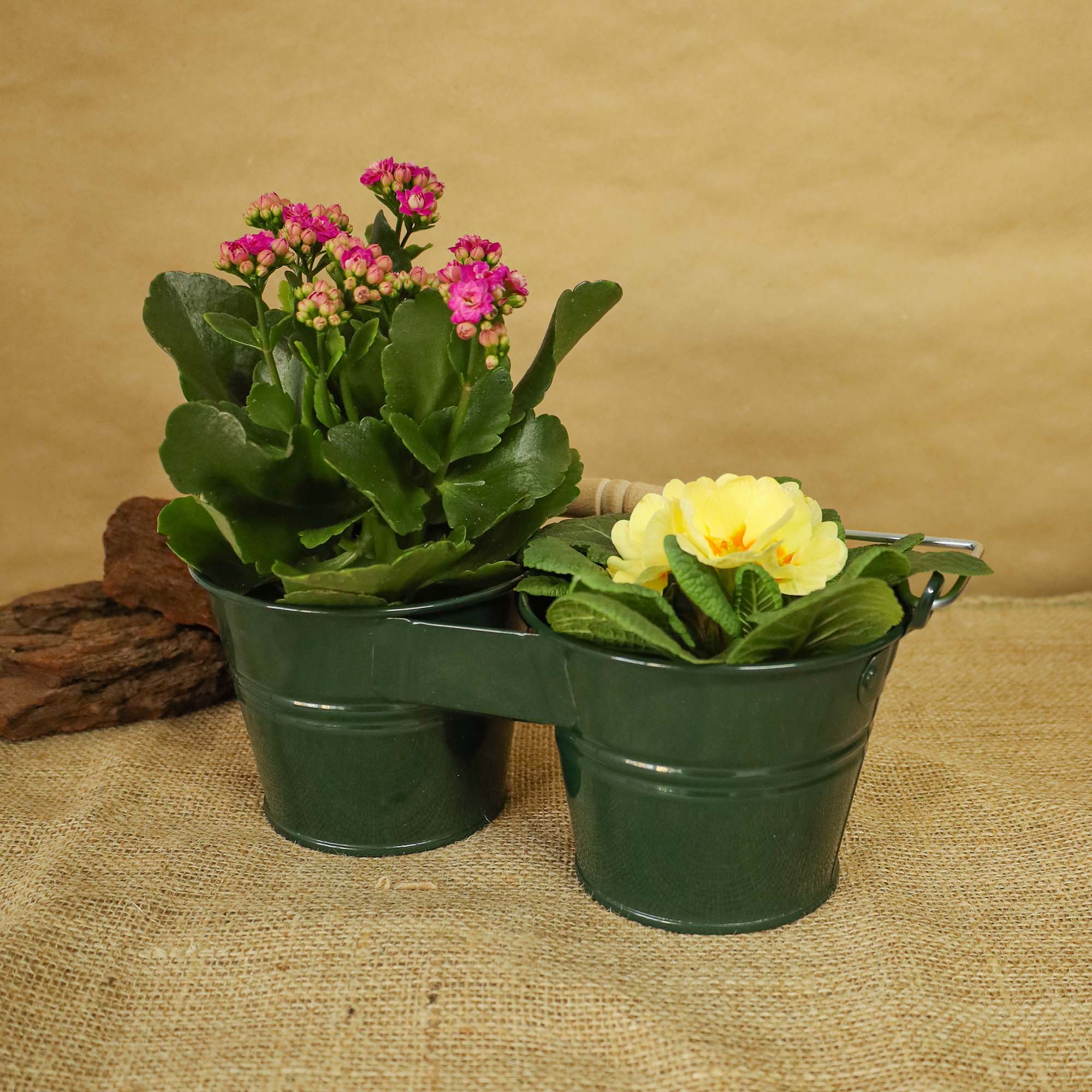 75e77ddc6304509470b6c4253a0c7265