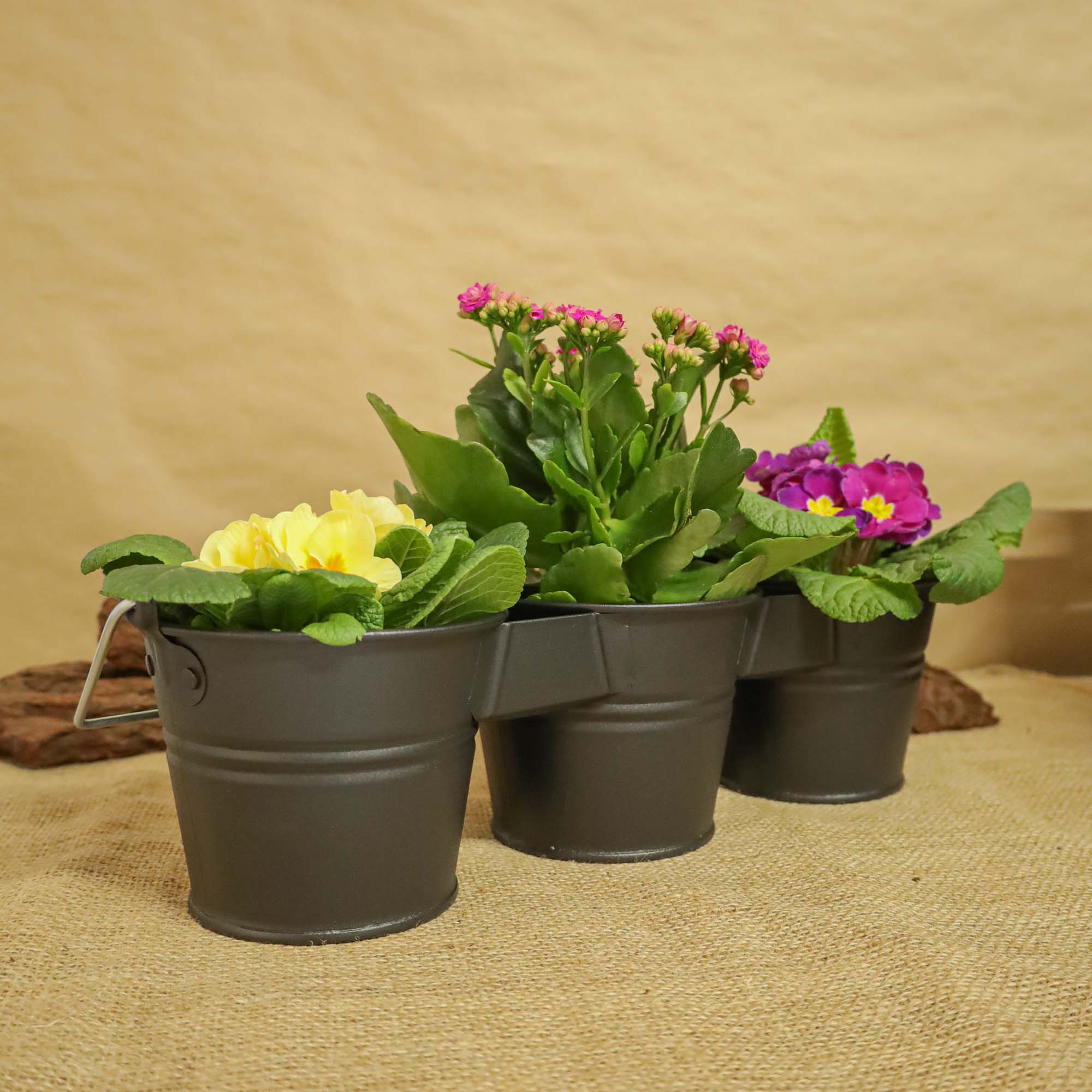 da7ac7649349e13bb31c660712b311aa