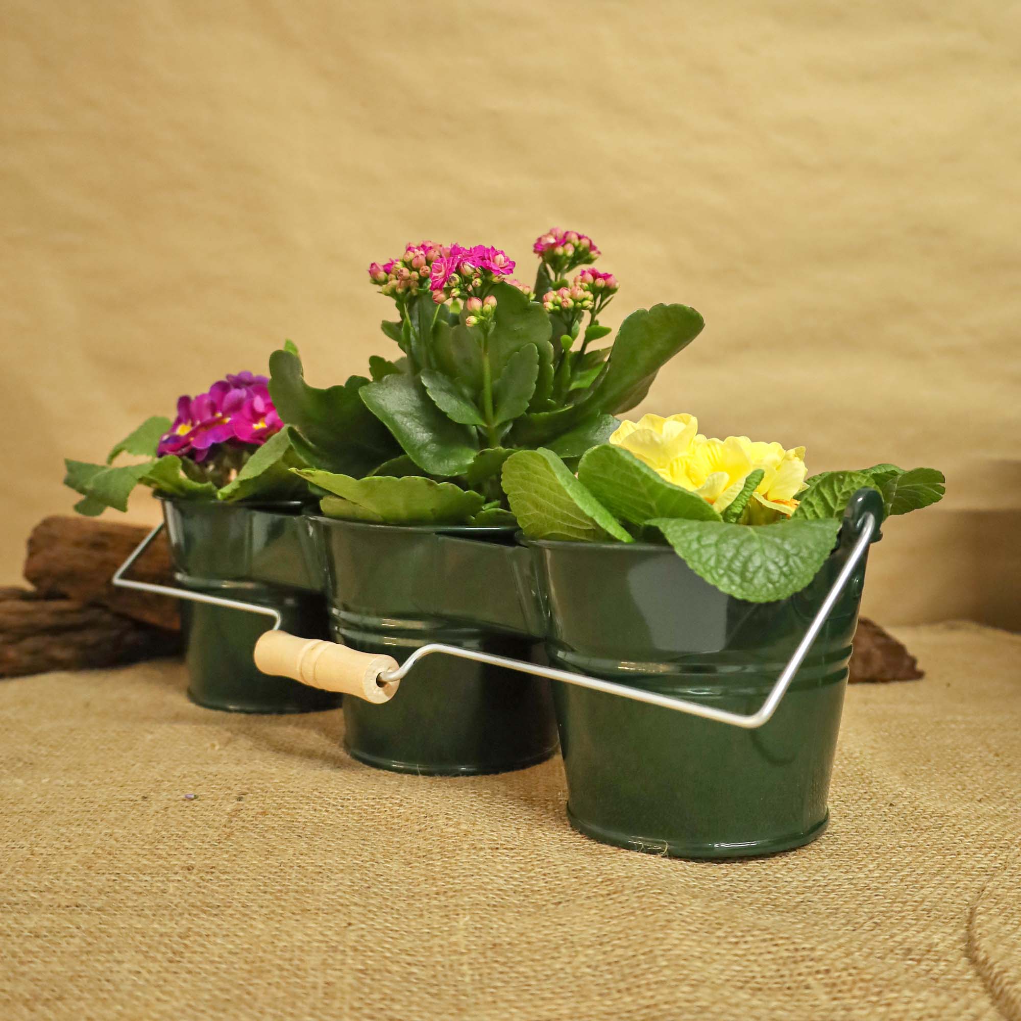 495489782e26ee92110a10a9593071c9