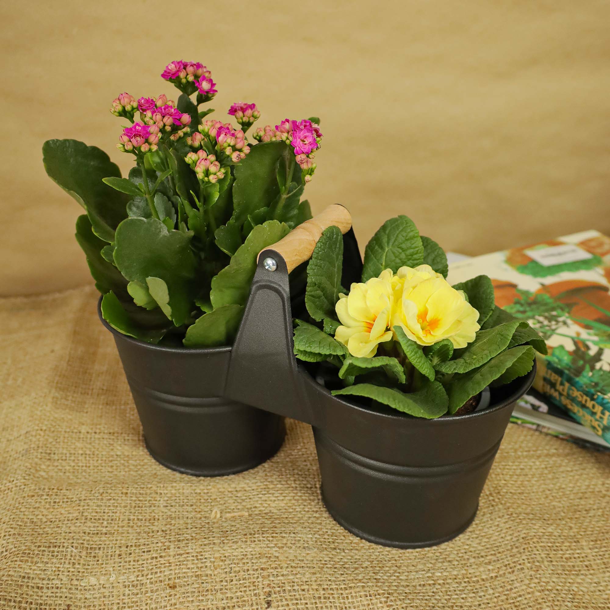 0f655921061b68a235e3b226691d5907