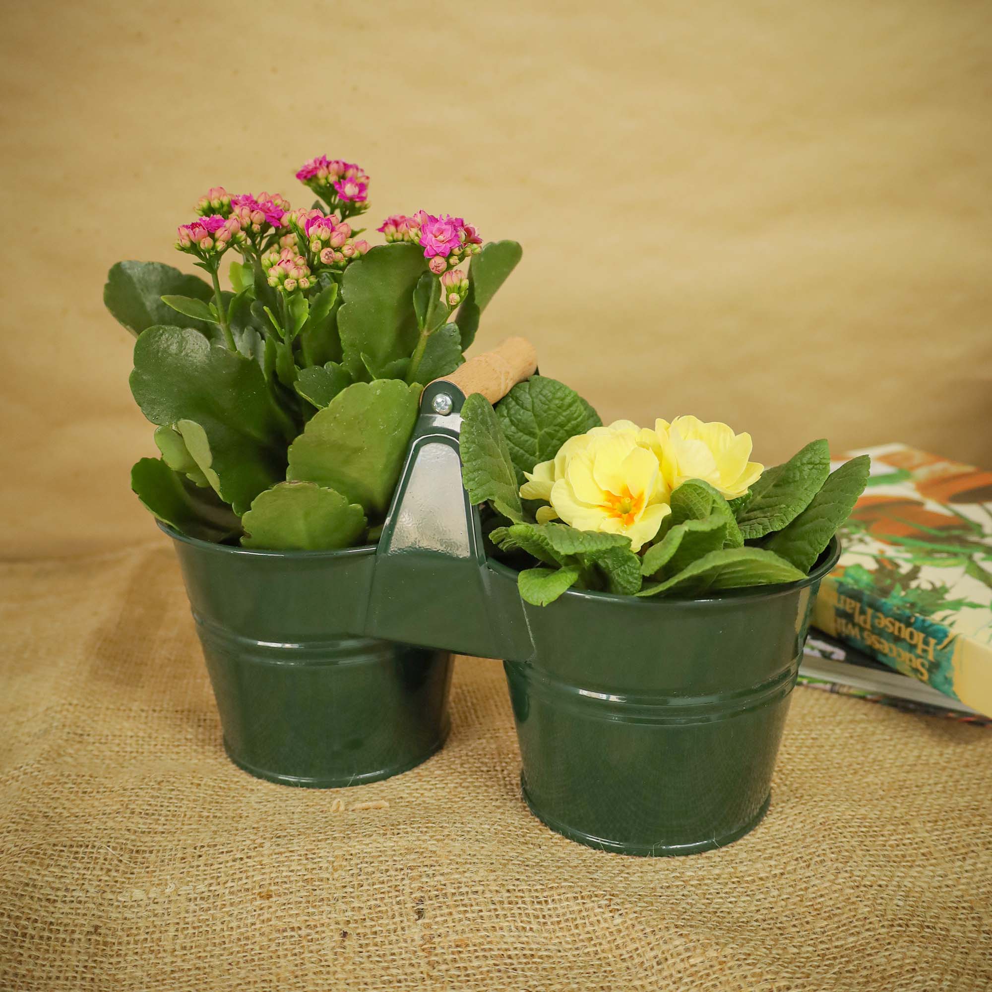 62d8e3208eeb0fc6c936d459ec282cd4