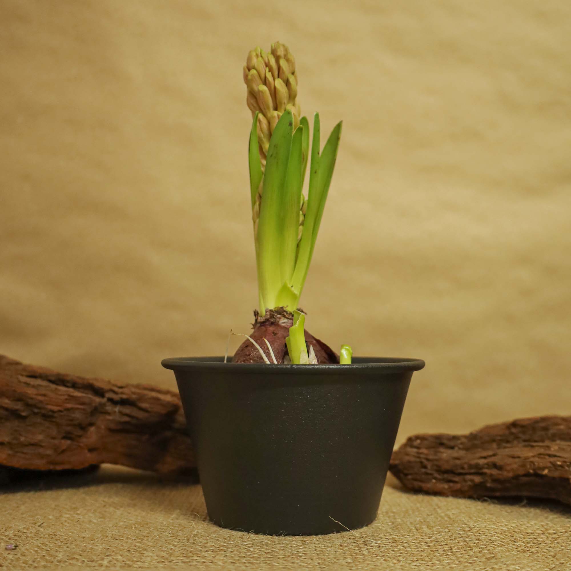 9f5d8d47e2d03899d3cbf7f85e405f83