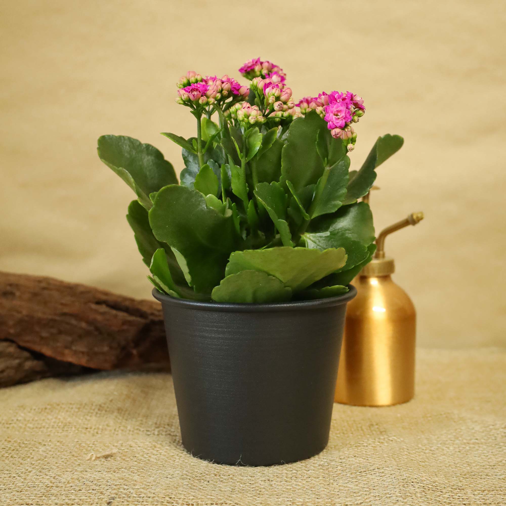 52dd30aade135568c84fe94cbd12ef4b