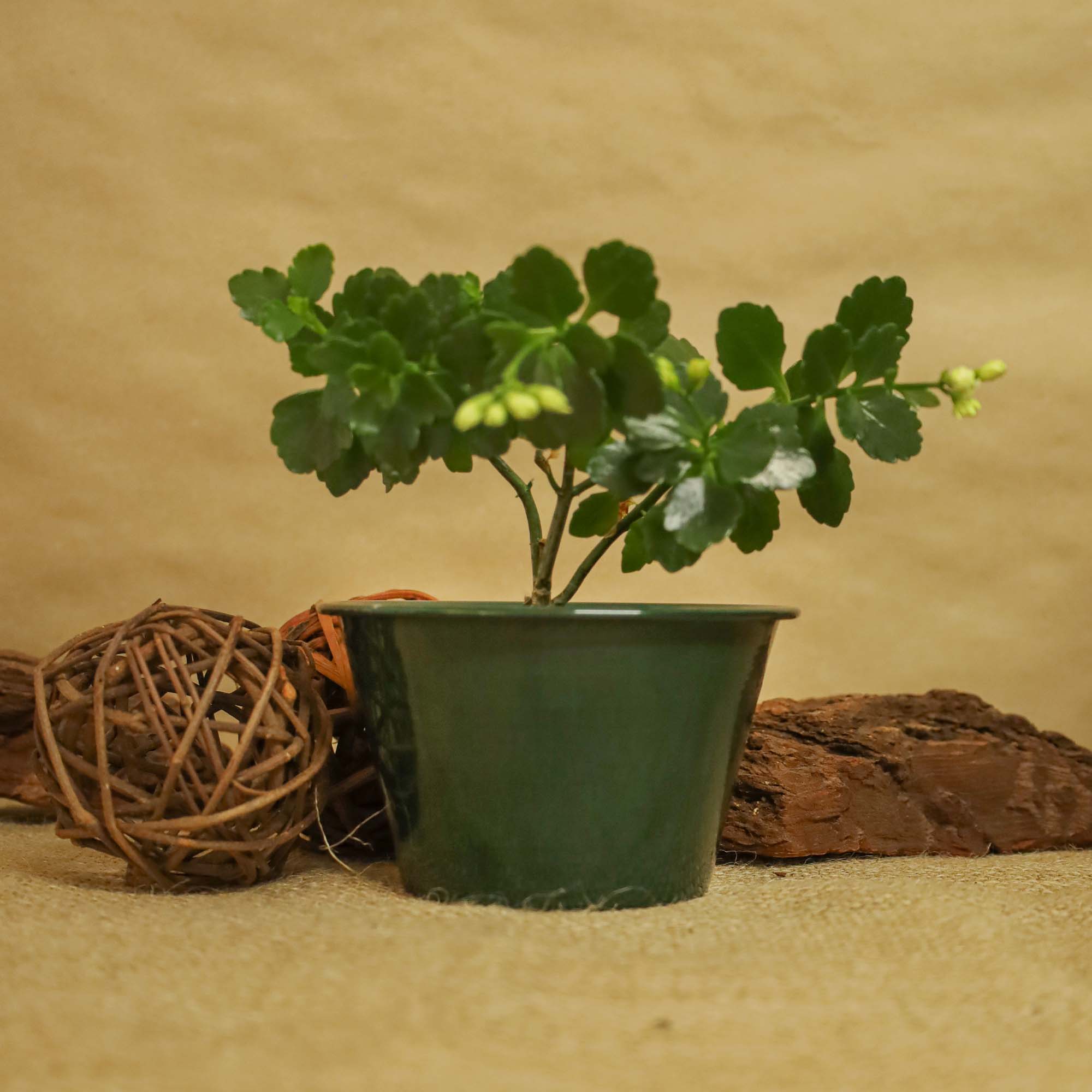 9dd5e00b507c2a0c60d6406b80af6488