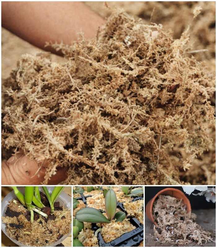 0822f65f161a8541780f3d69722175dd