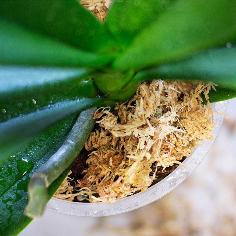 c80cc5c6c91e51e9f9a4799af324fbd6