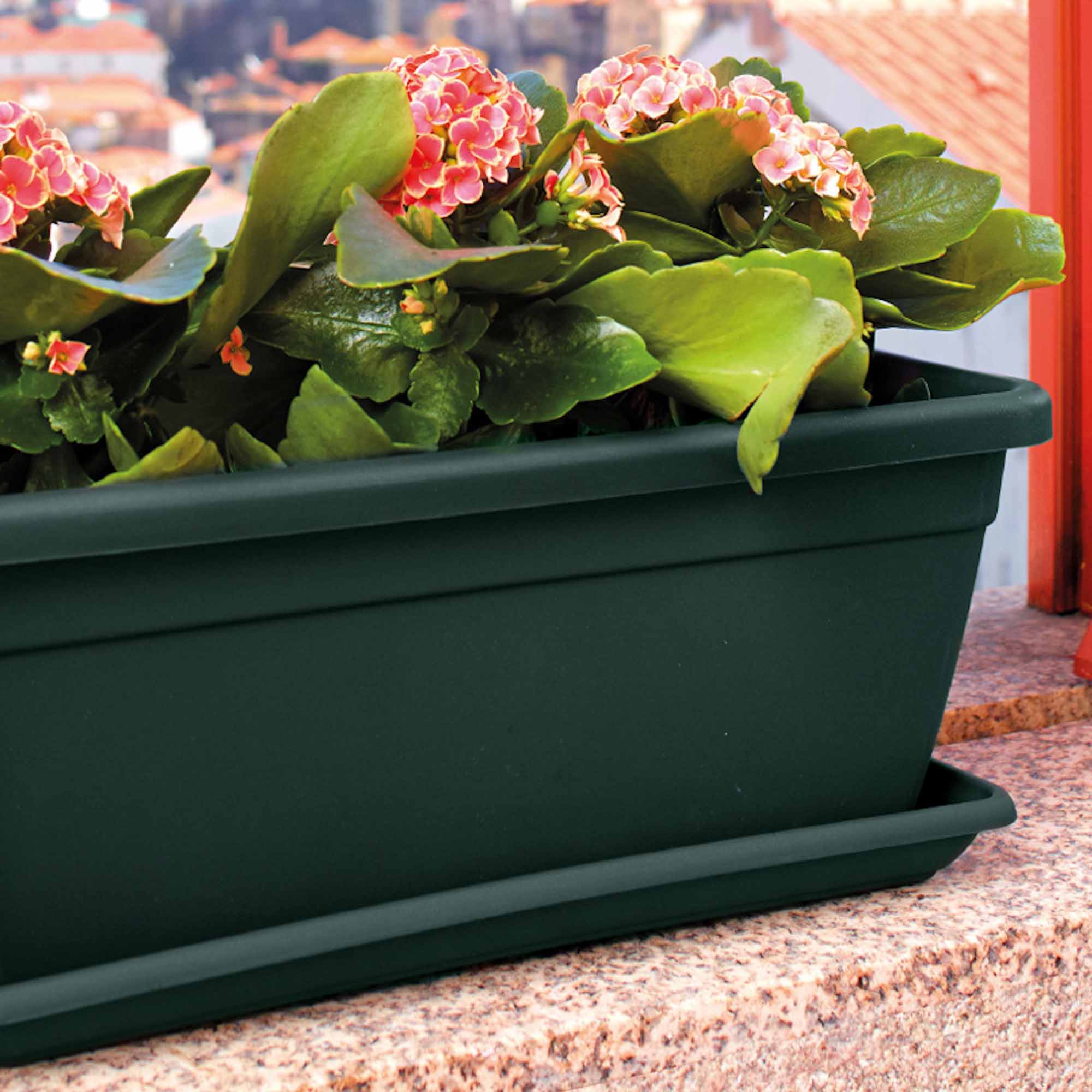 240ae8d00247308a75601993eb241313