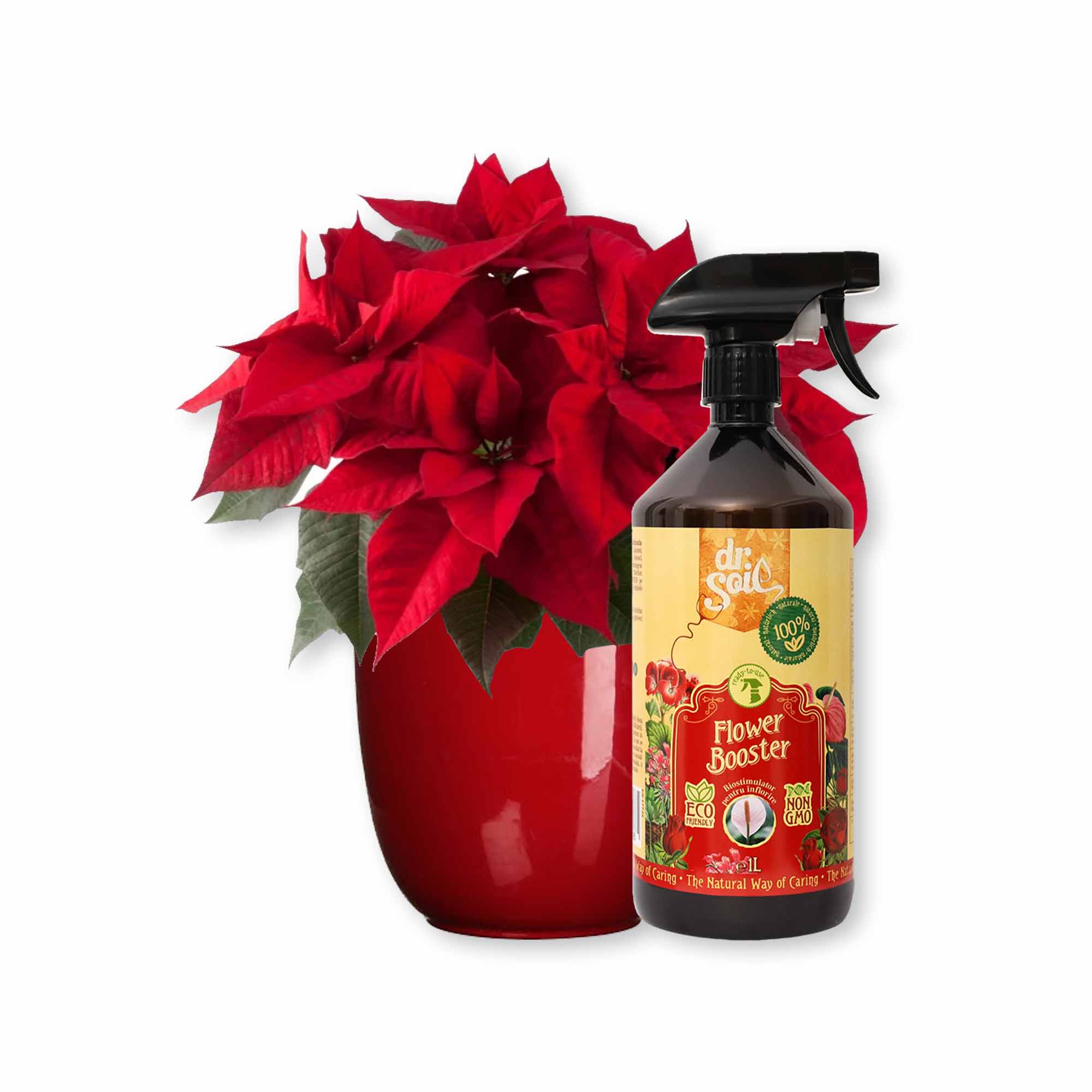 e76de202b01f3b956373be0eac794989