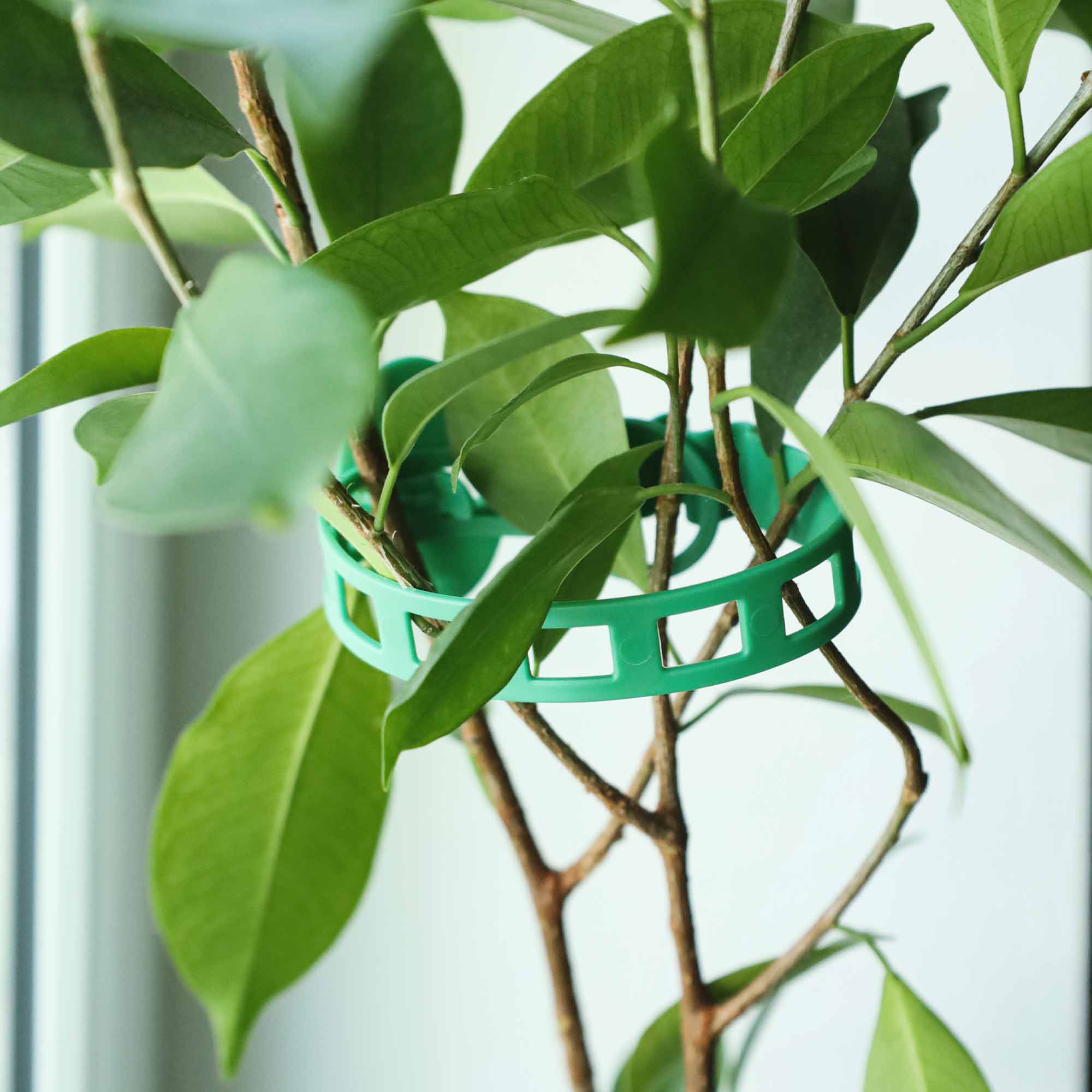 7bb5b8c5a3dcd00ee4a66574f3ecbab8