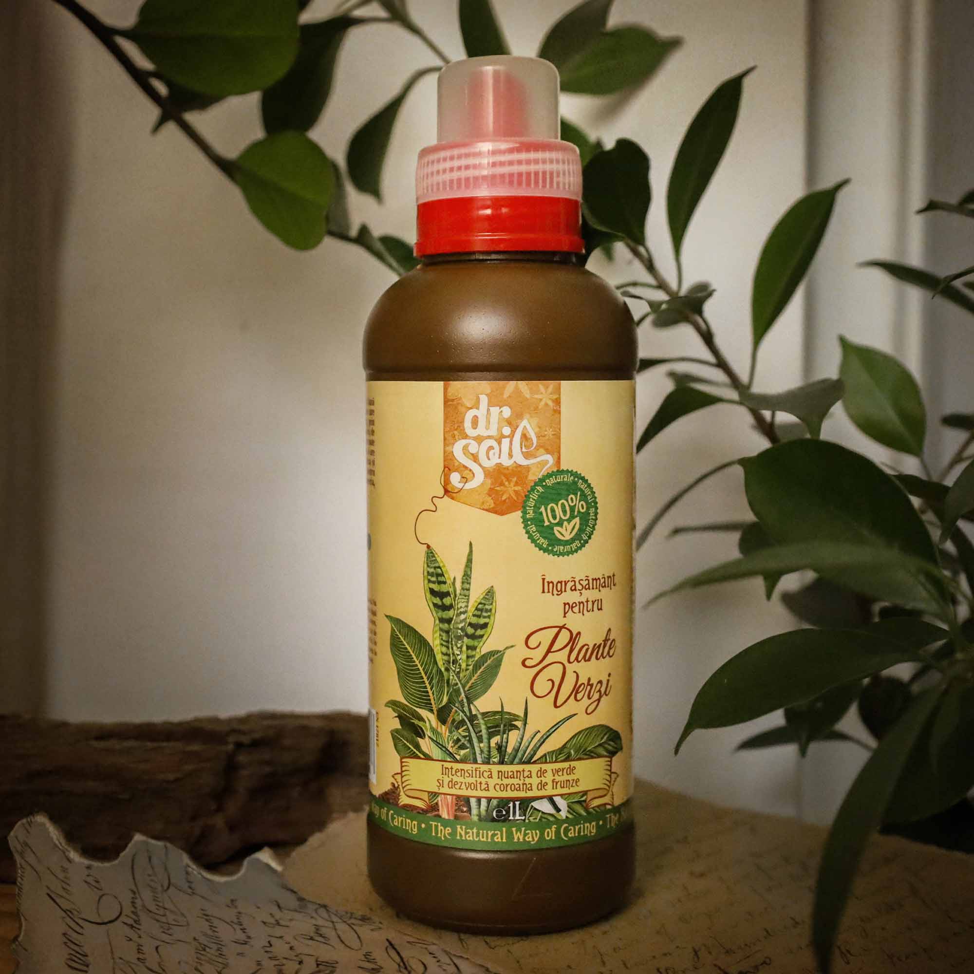 743ed9a7b1dfc49963dce3de4a8ae017