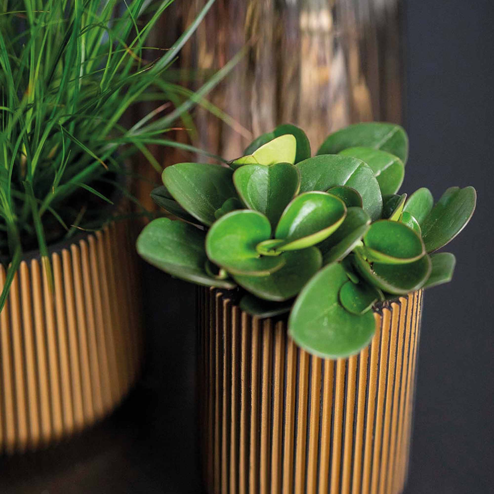 7592f8d345840f19a1674b23439ef531