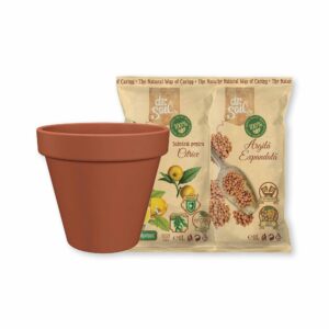 983441109213b6f5f2d87d4856ec02c7