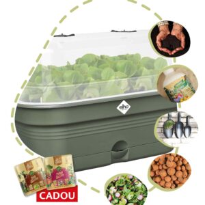 9a13c7ba2300d06474181963e536fd37