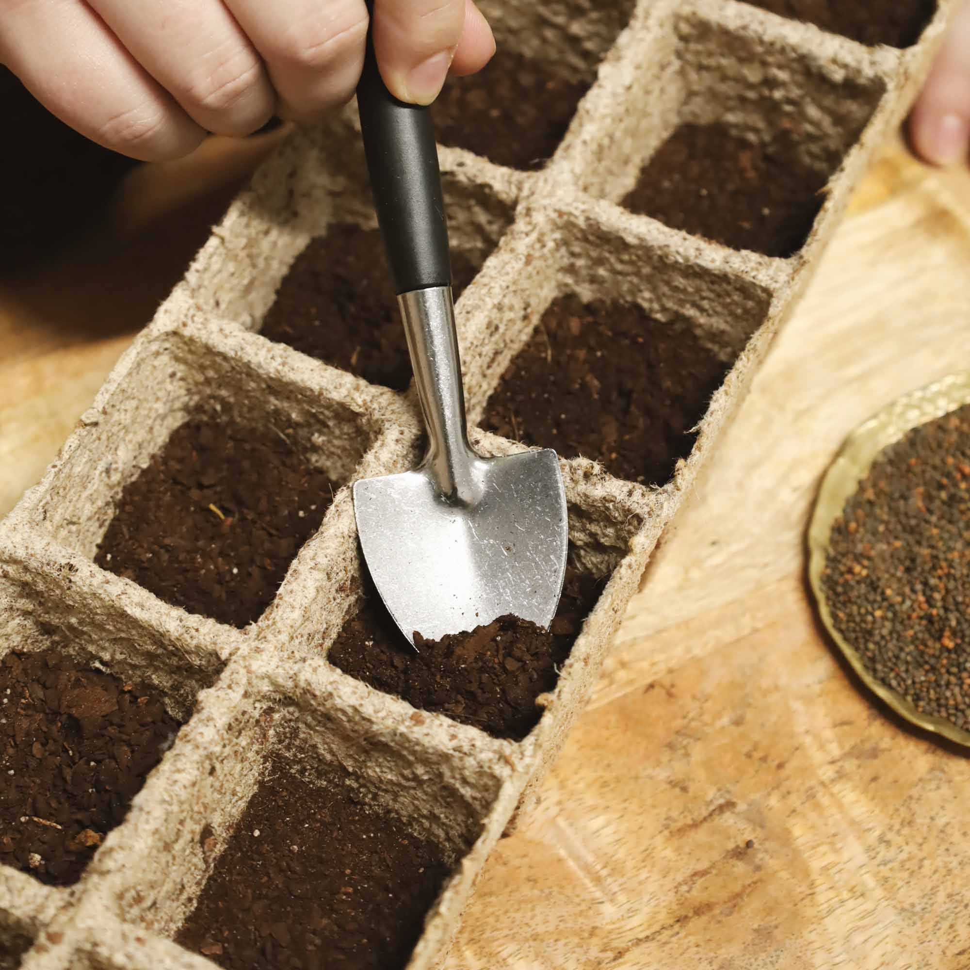 e36ab21e0532f37939ccdcf4f9439e81