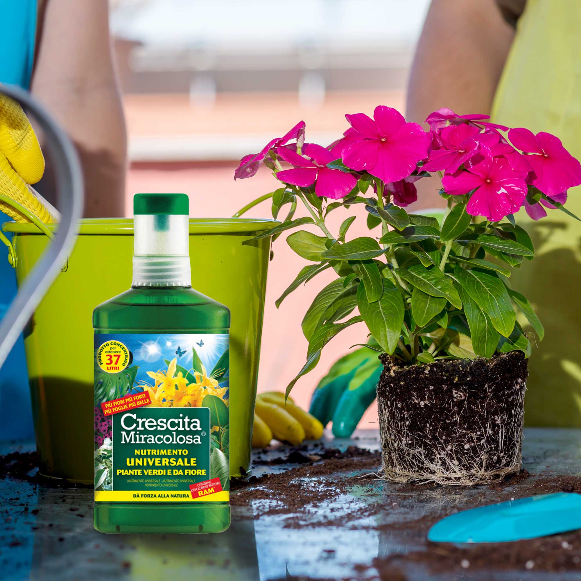 c13af6dcfb03fe9c677e84941cc12d47