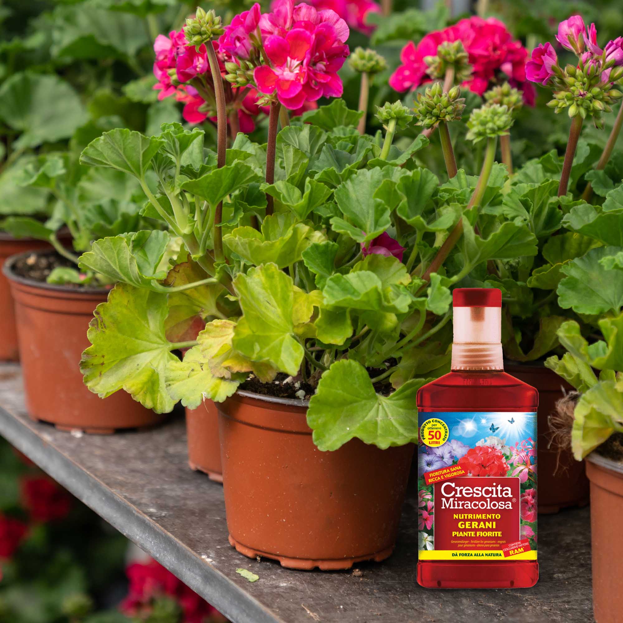 aa7f9ca5a121c6fab114747485ea5495