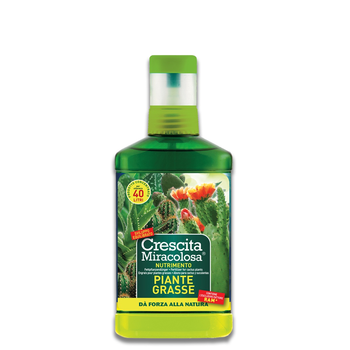 cfcffaec724ee033ffd98ce7aaa31fb0