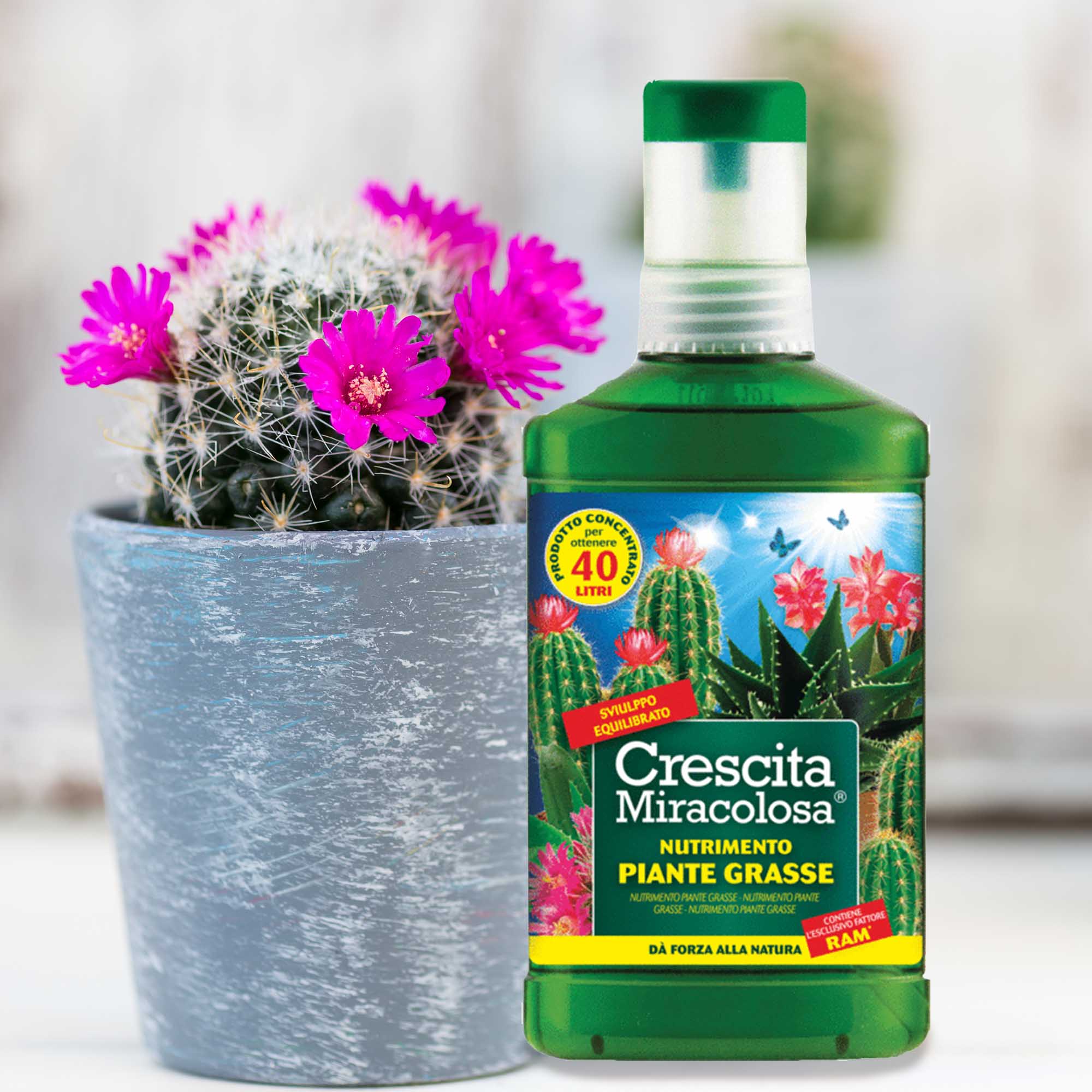 3d43552e62055f54b801bb58ff780ec3