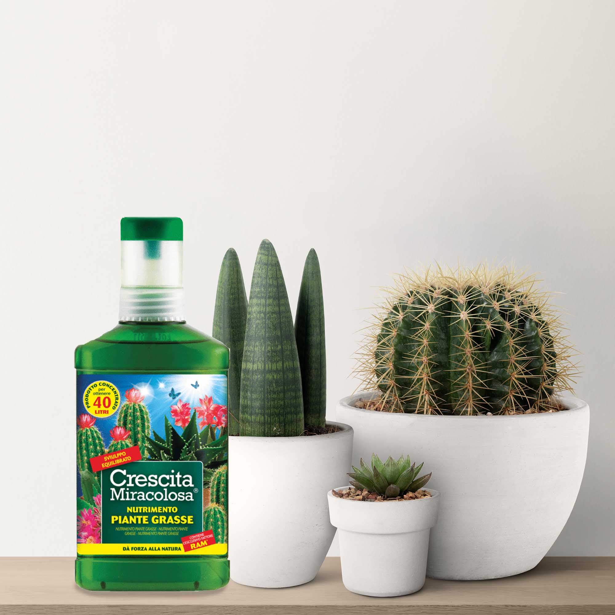 1a8ae5484ef950fc0e05c53284e4a7f3