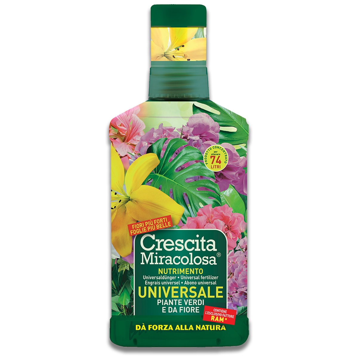 e204e727a0917dd6464b2ad5bb604f7c