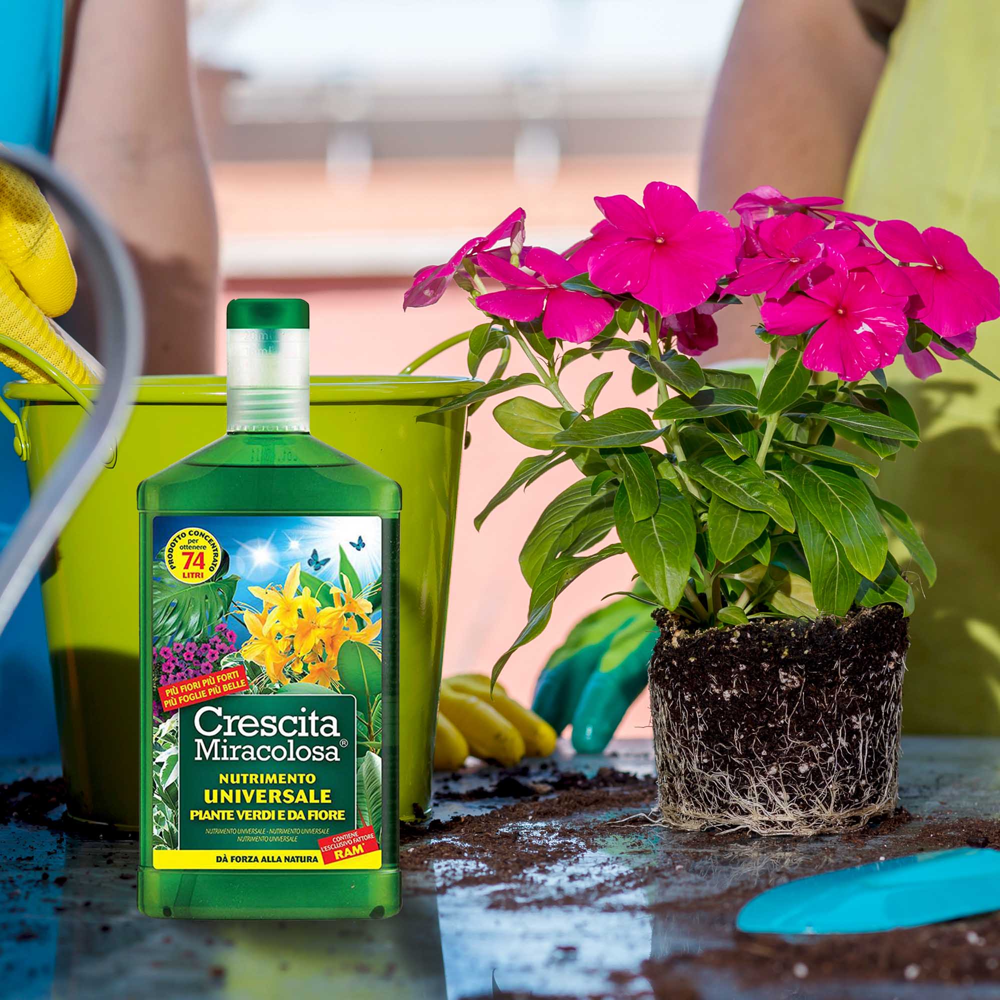 2b308b3bf98a4e5287e2fd29df01cd4f