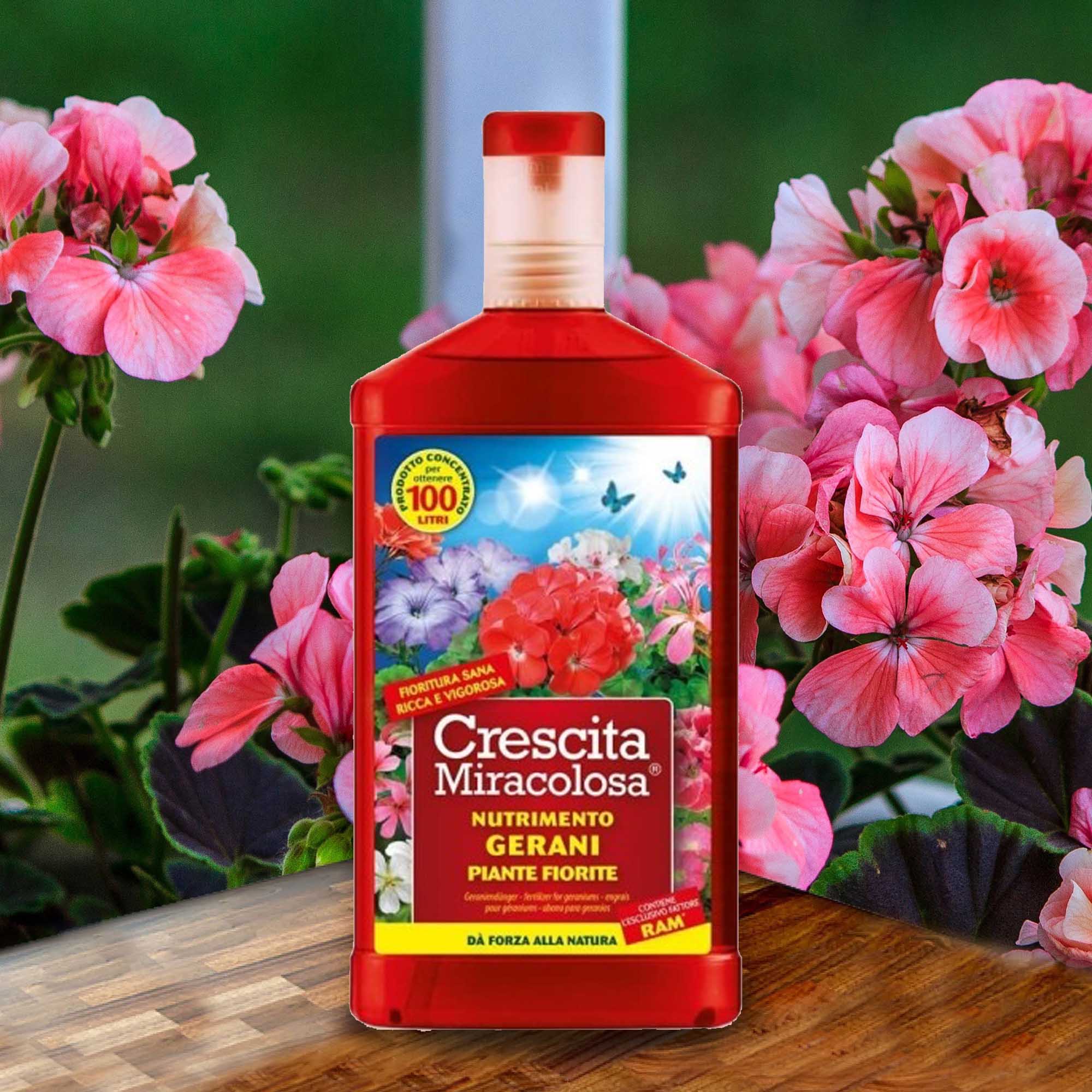 aec19eebdda4a8b6ab6cda2f82502113