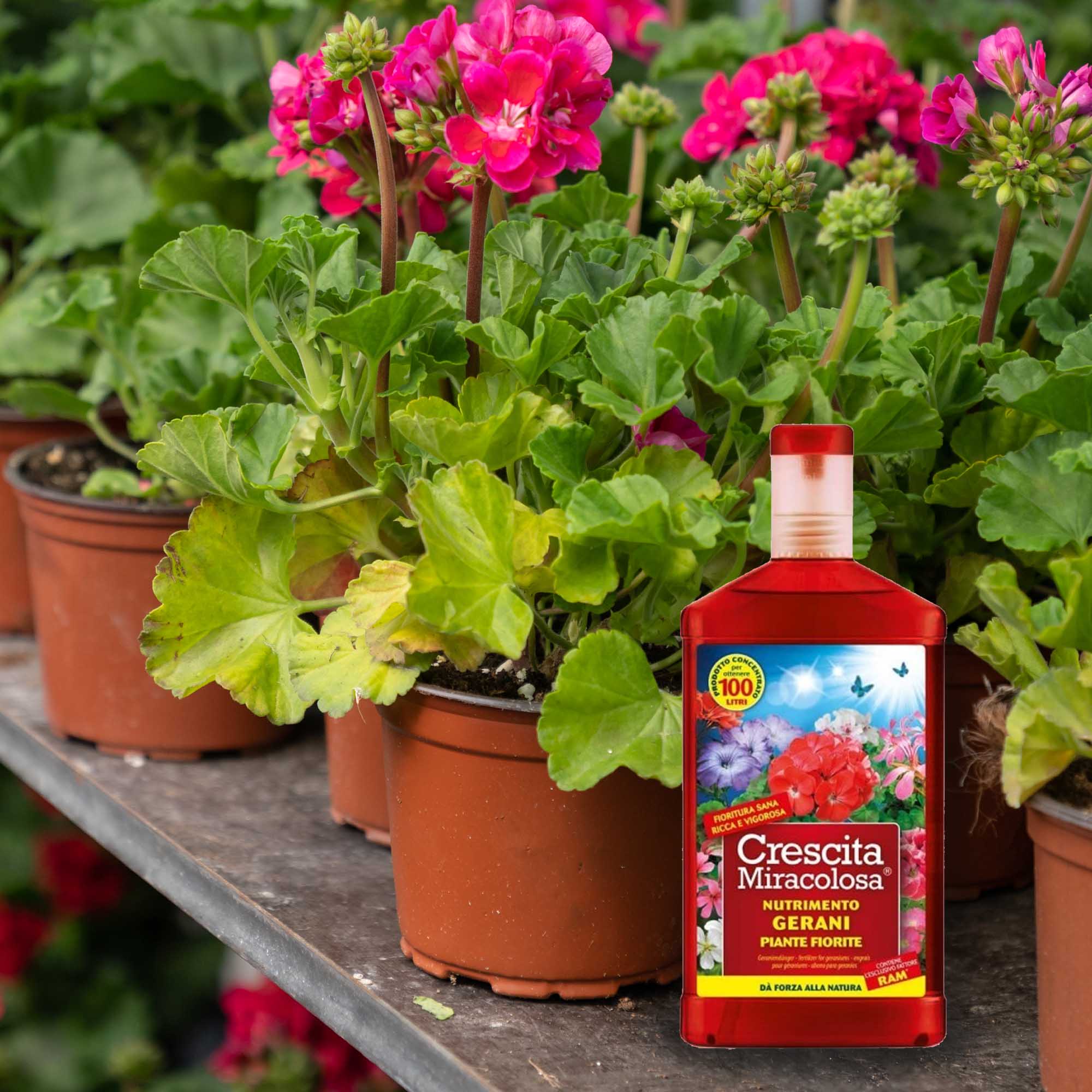 3f01c299675023bc6024169144eb8870