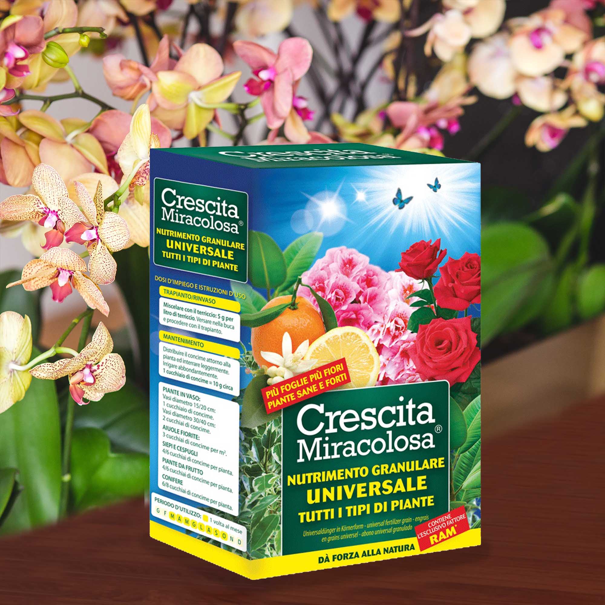 4bfd9cb89aa5f70028585befac02e7ff