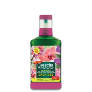 37b83ea35e320fc98188d1d034ca80c8