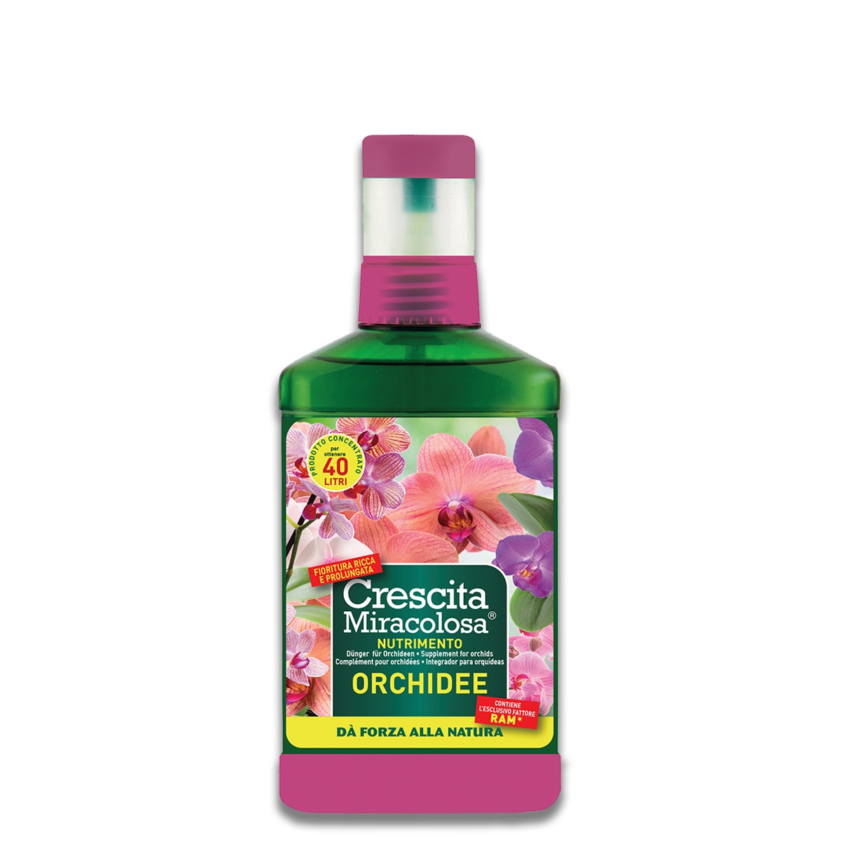 37b83ea35e320fc98188d1d034ca80c8