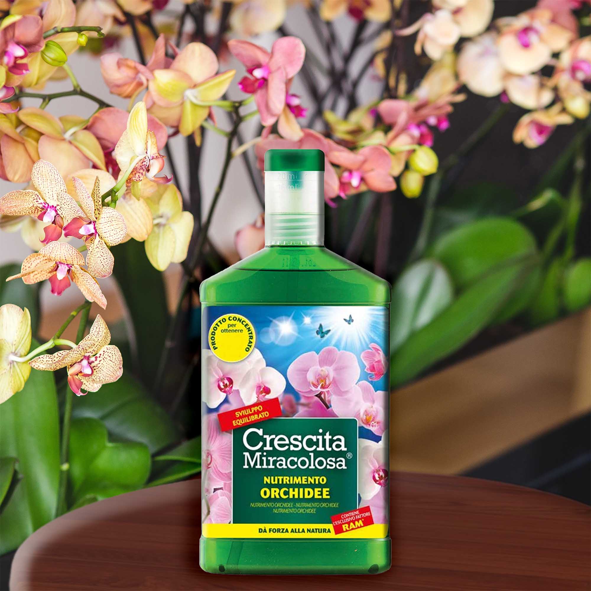 ce62bcf3a18c2b6c31765b29783a17ad