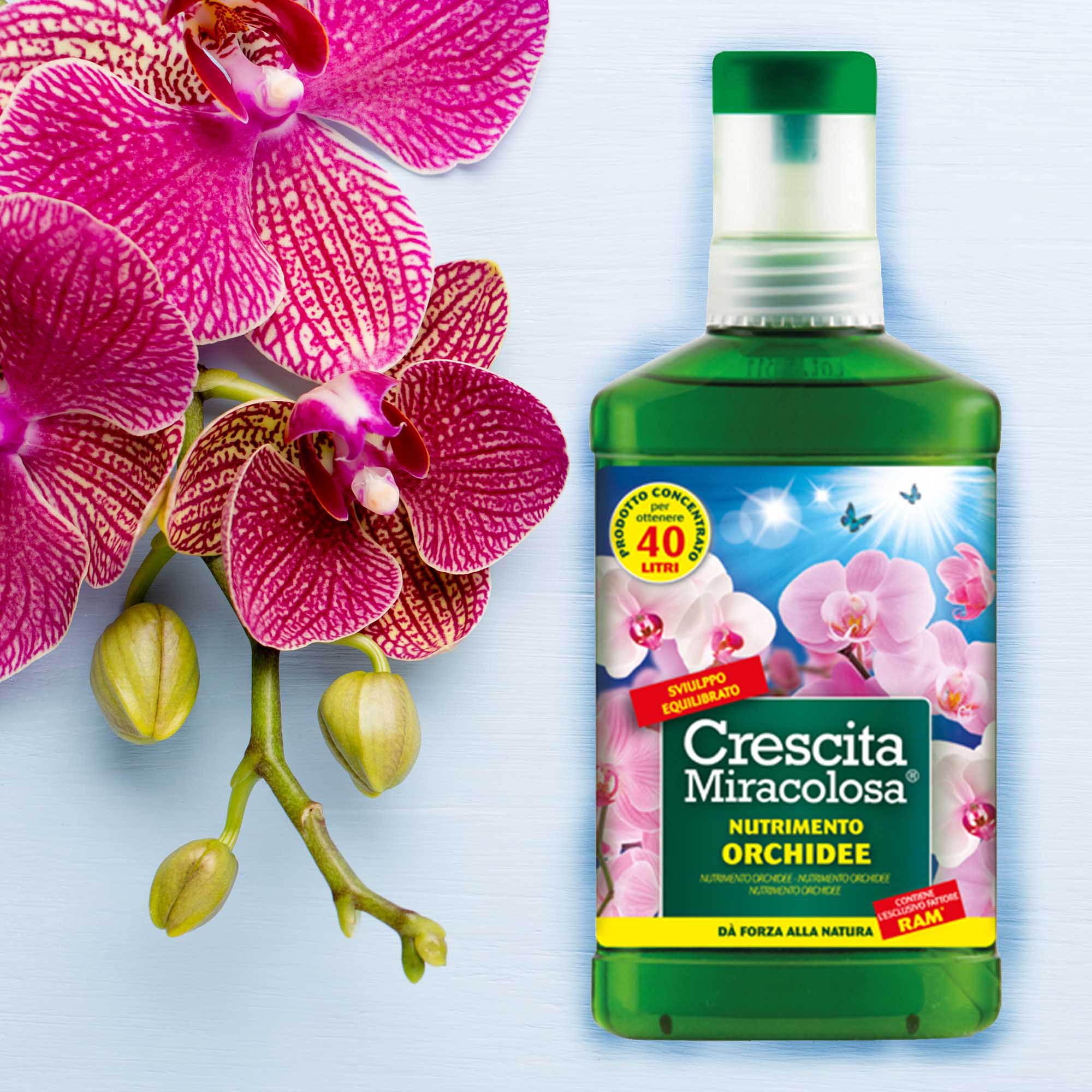 13868792a4fd03d39cfa50c21b6c84d0