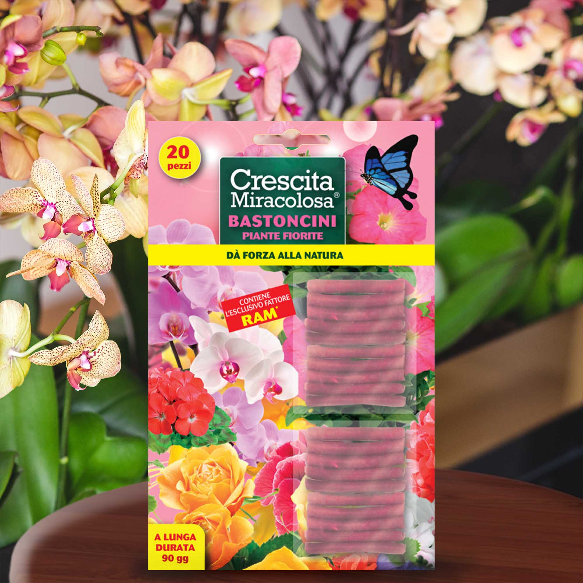 f172a63db2d79c1f9088ef82d11b590a