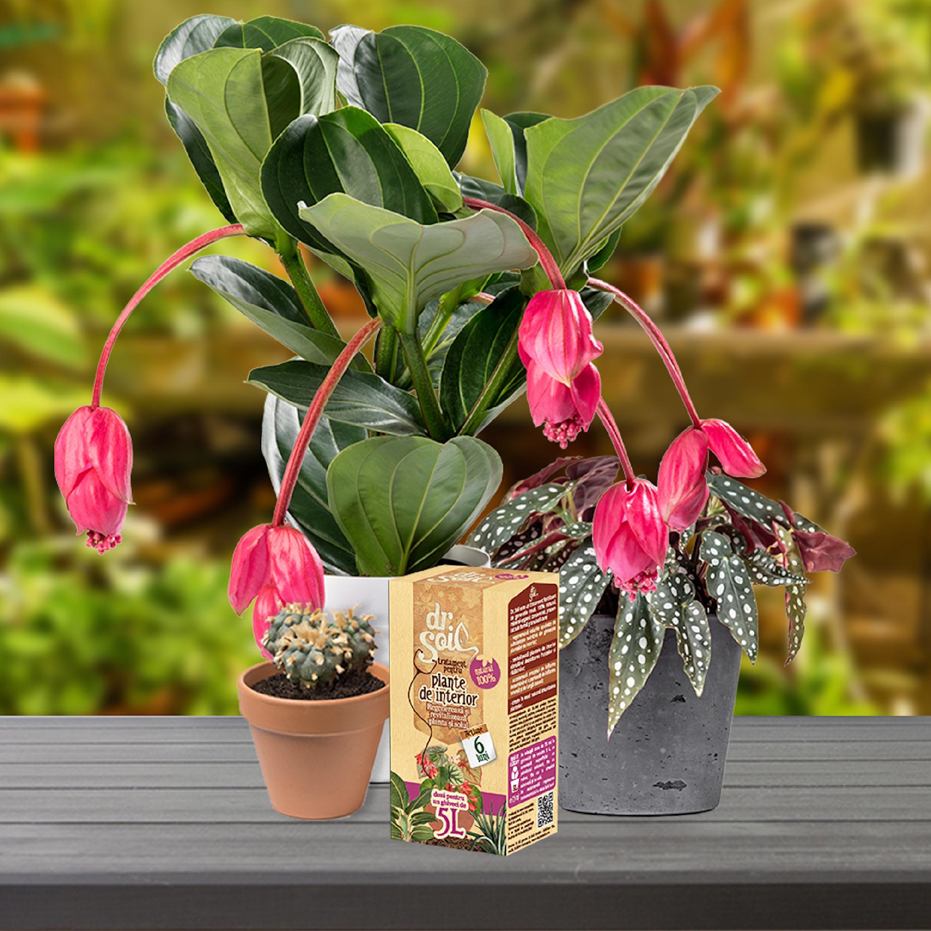 769d760bfcf6a08d0c70e0a6a5be1d2b