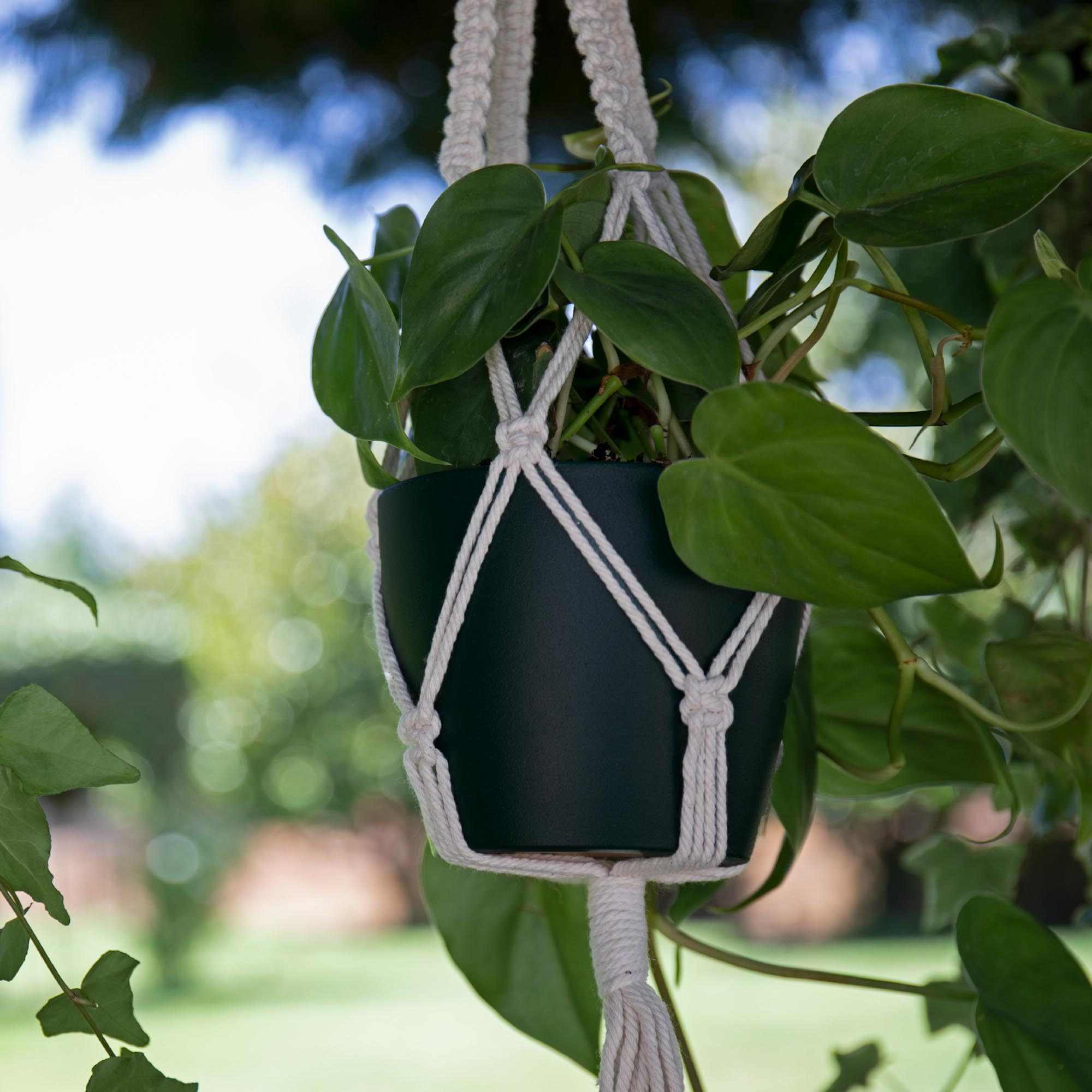 510d6e4416dff5463a2142a35895f73d