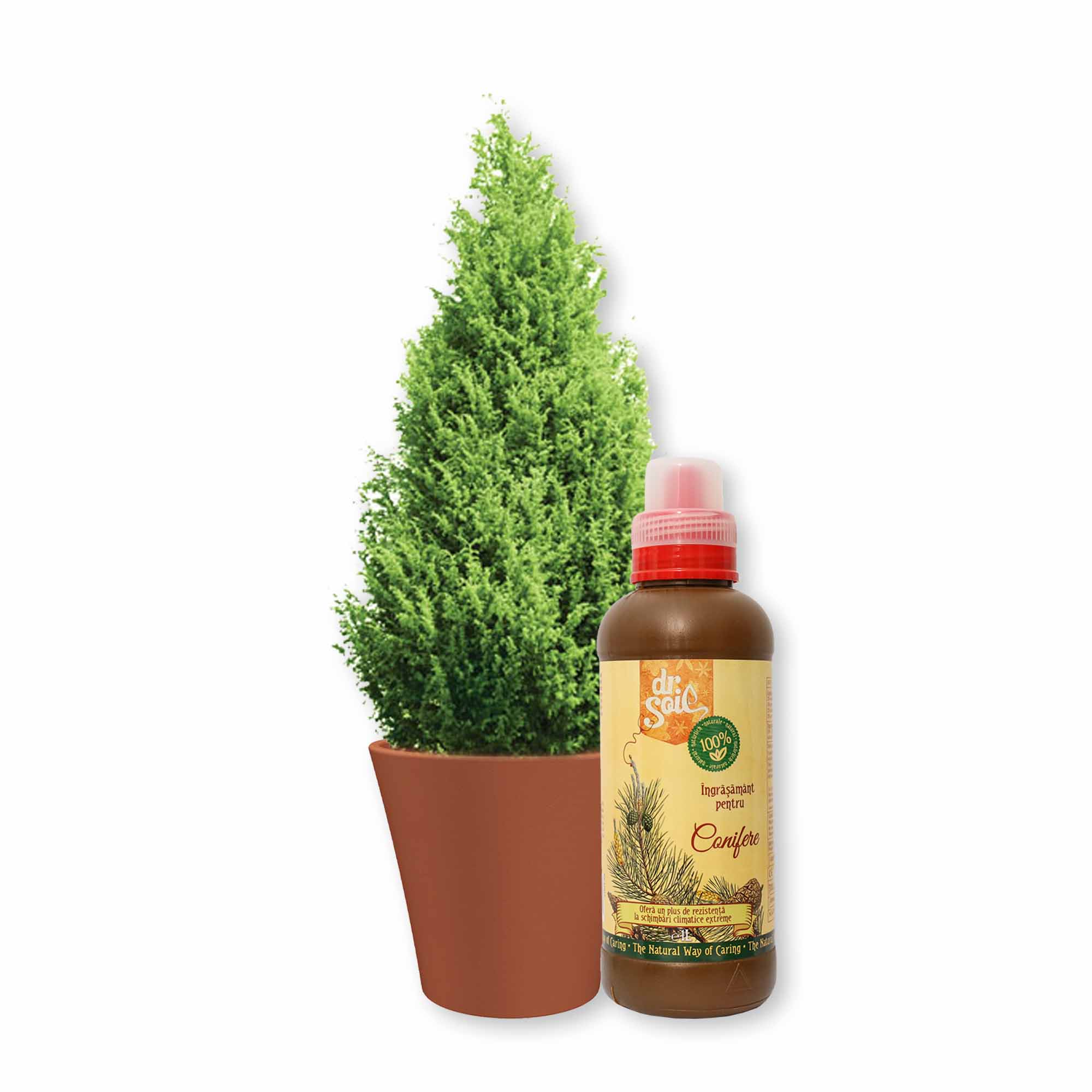 08bf9a290a00929446d583fe99725f56