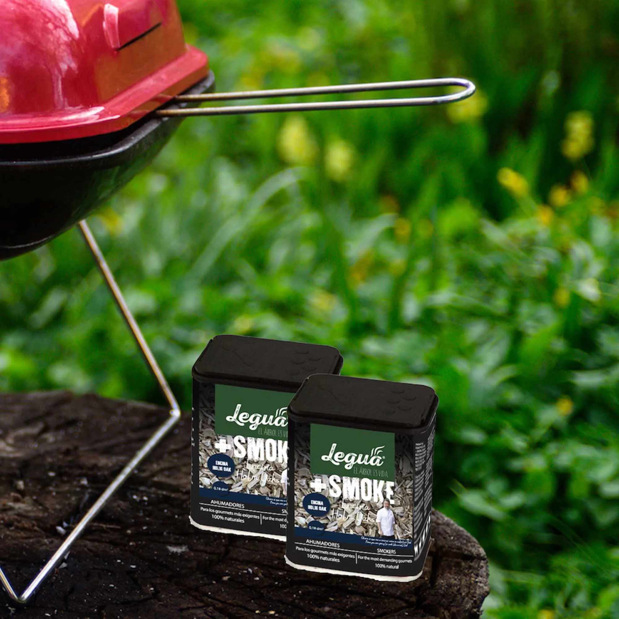 092e0d977d099a363d726f96a88b3350