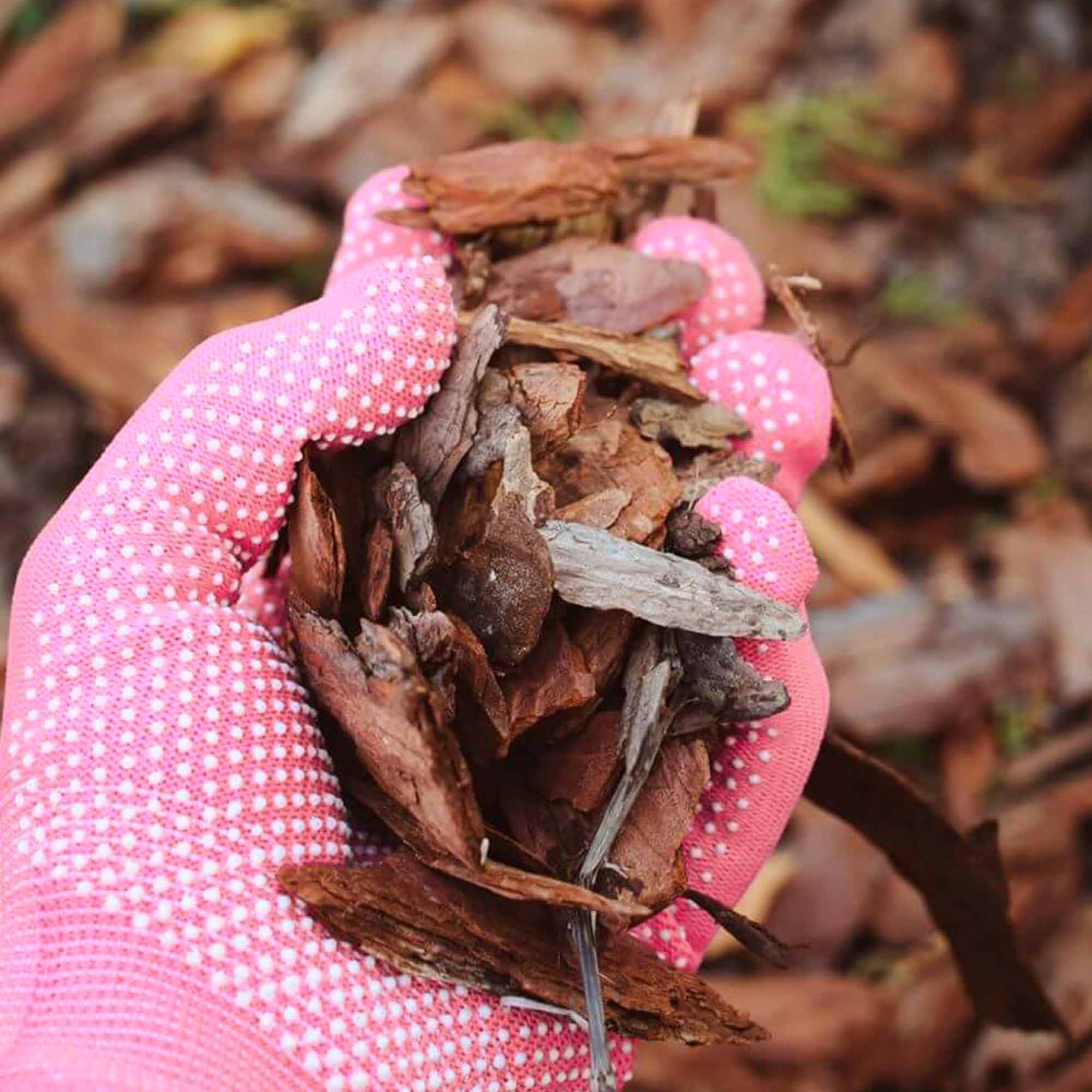 1075612a3710cd06bdc4c507e359c87a