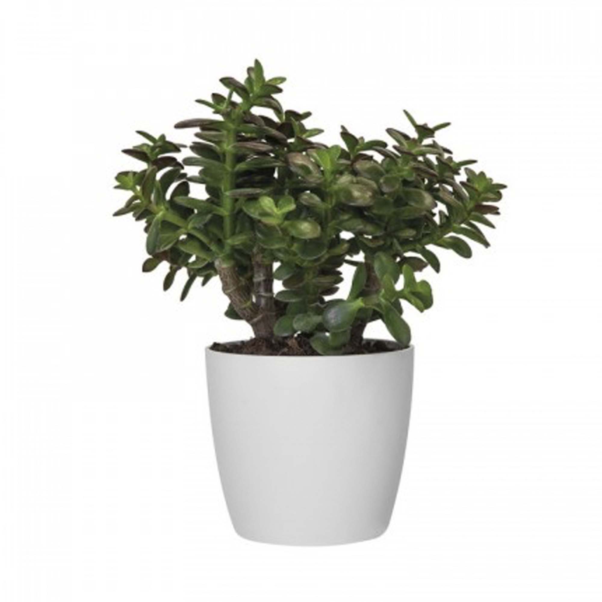 08e261cb93c1b2274e457853d5a00c8f