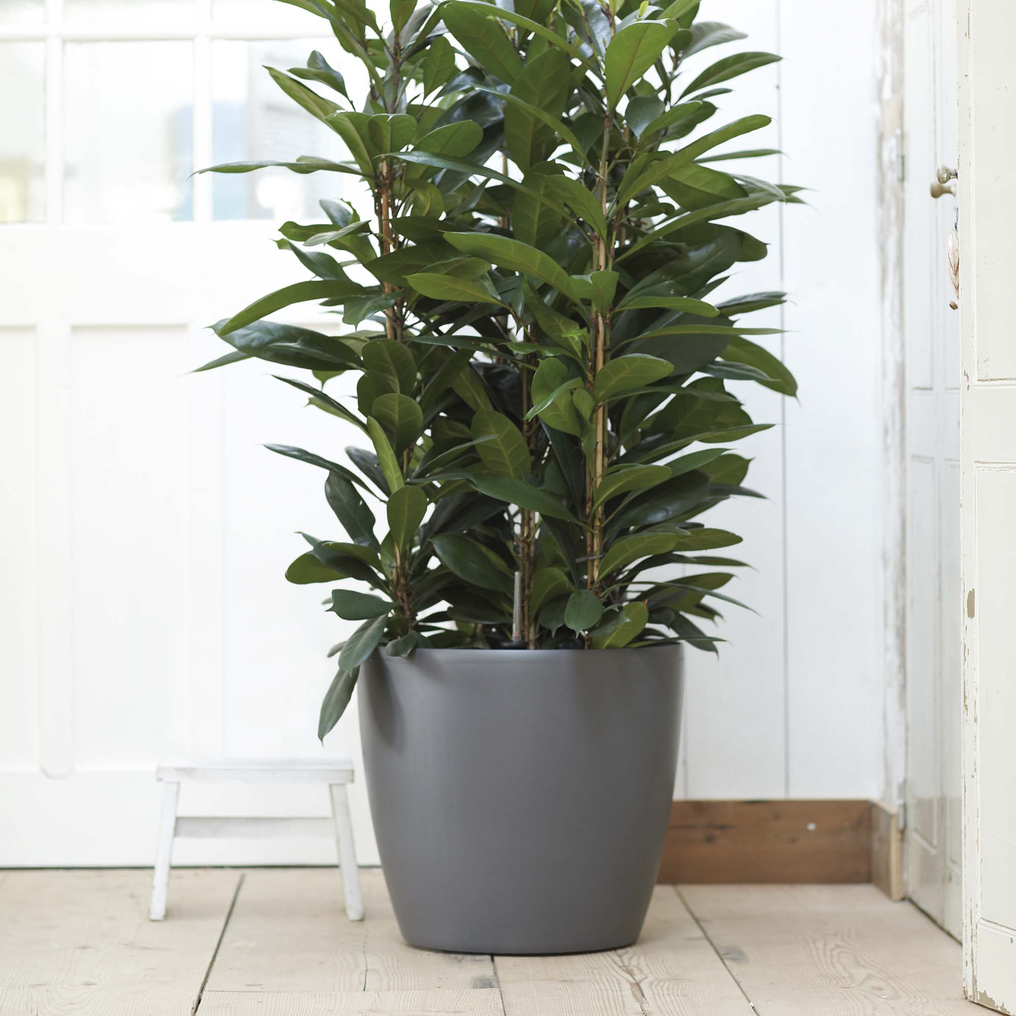 fc2b2b07431825316907367ce11f2b99